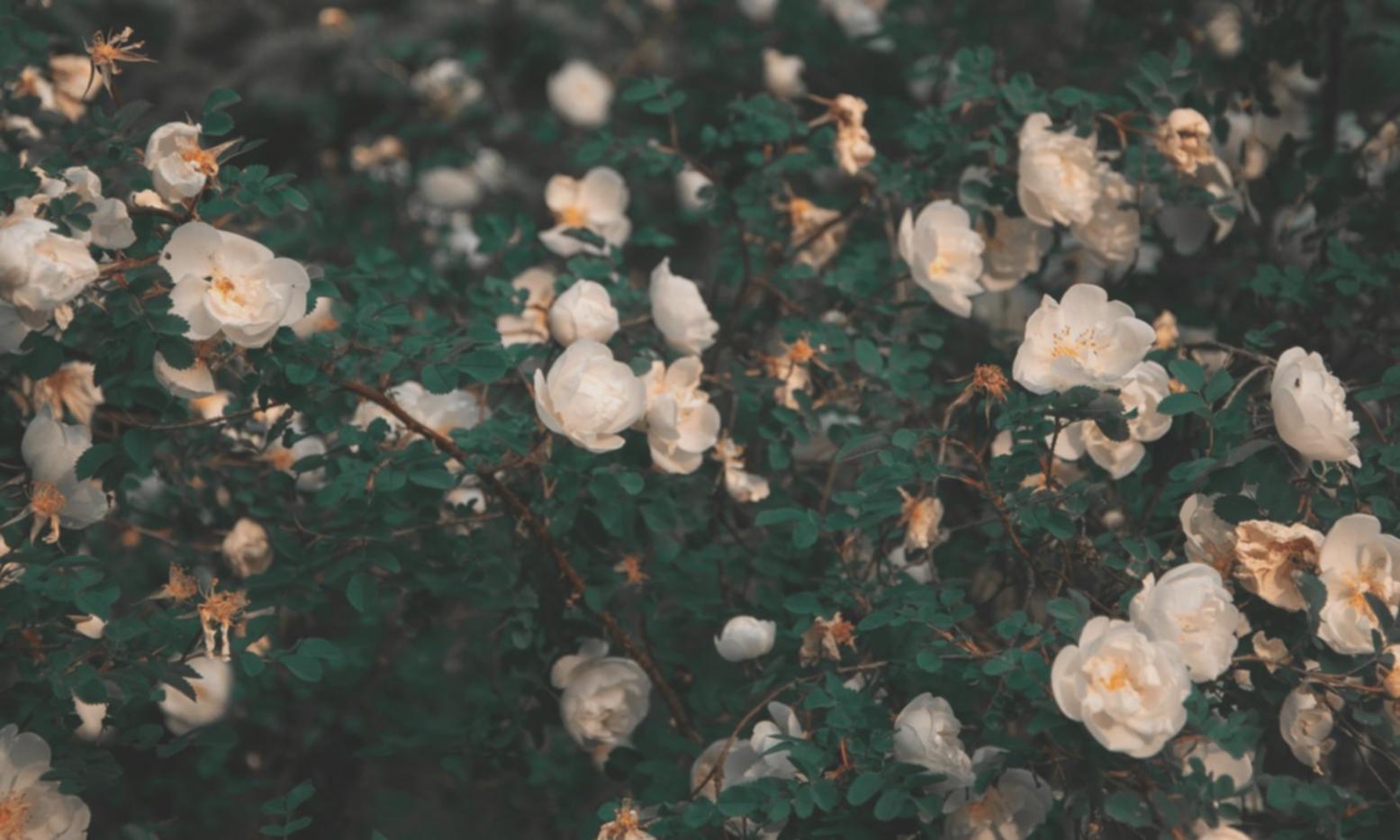 Professional flower delivery training in action